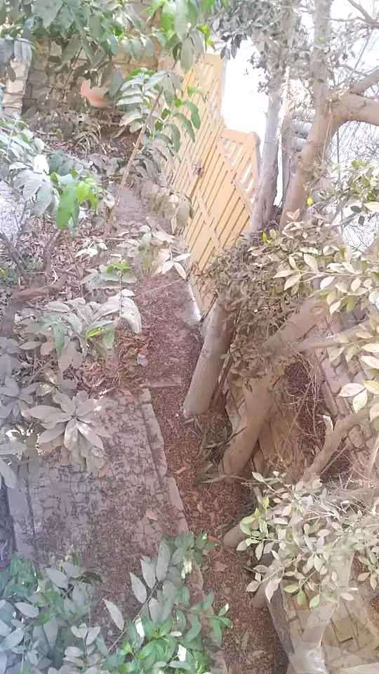 https://aqarmap.com.eg/en/listing/6661206-for-sale-alexandria-l-jmy-lbytsh-el-hanafeya-st