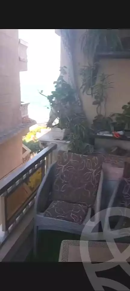 https://aqarmap.com.eg/en/listing/6662083-for-sale-alexandria-l-jmy-lbytsh-shahr-al-assal-st