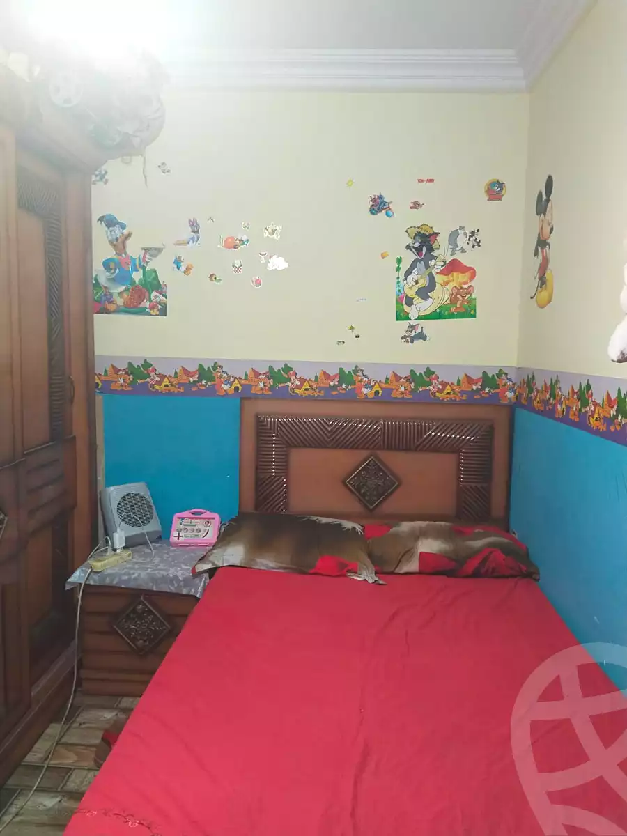 https://aqarmap.com.eg/en/listing/6664989-for-sale-alexandria-el-asafra-l-sfr-bhry-el-geish-rd