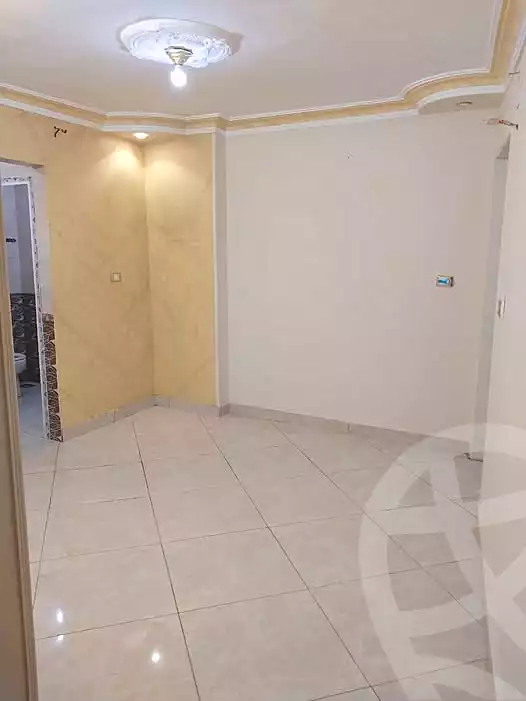 https://aqarmap.com.eg/en/listing/6669208-for-rent-cairo-nasr-city-el-tayaran