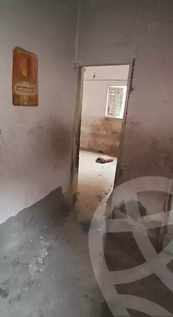 https://aqarmap.com.eg/ar/listing/6673108-for-sale-alexandria-el-dekhela