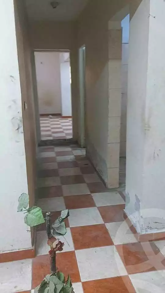 https://aqarmap.com.eg/en/listing/6675094-for-rent-cairo-faisal-el-maryotyah