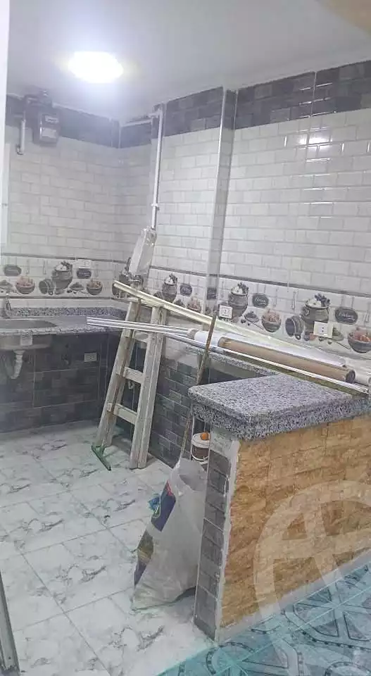https://aqarmap.com.eg/en/listing/6676822-for-sale-alexandria-el-mandara-moritania-st