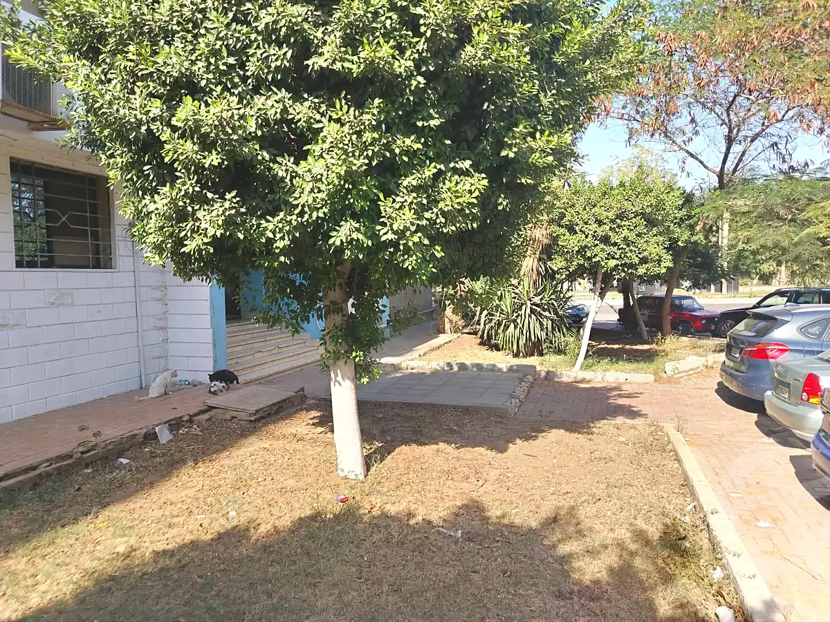 https://aqarmap.com.eg/en/listing/6678903-for-sale-cairo-6th-of-october-el-ahyaa-neighborhood-1st-third-neighborhood