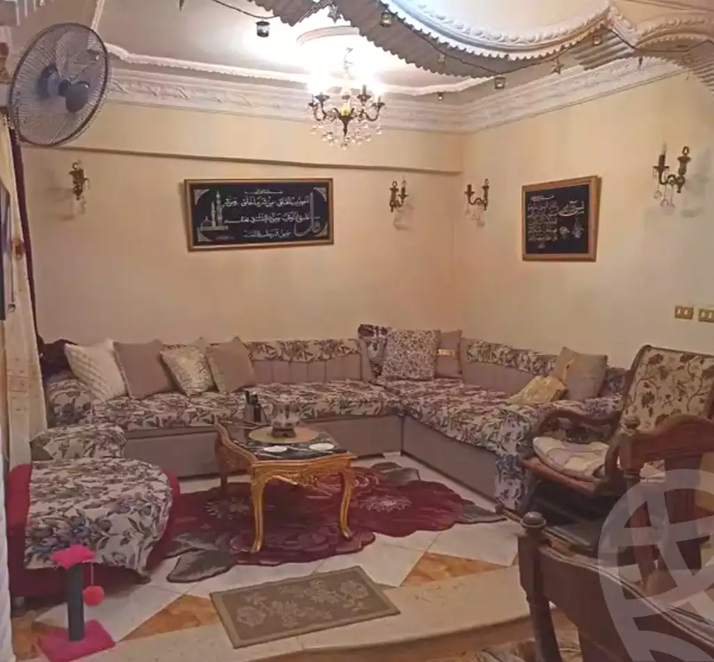 https://aqarmap.com.eg/ar/listing/6685608-for-sale-alexandria-l-jmy-el-hanouvel-amr-ibn-el-aas-st