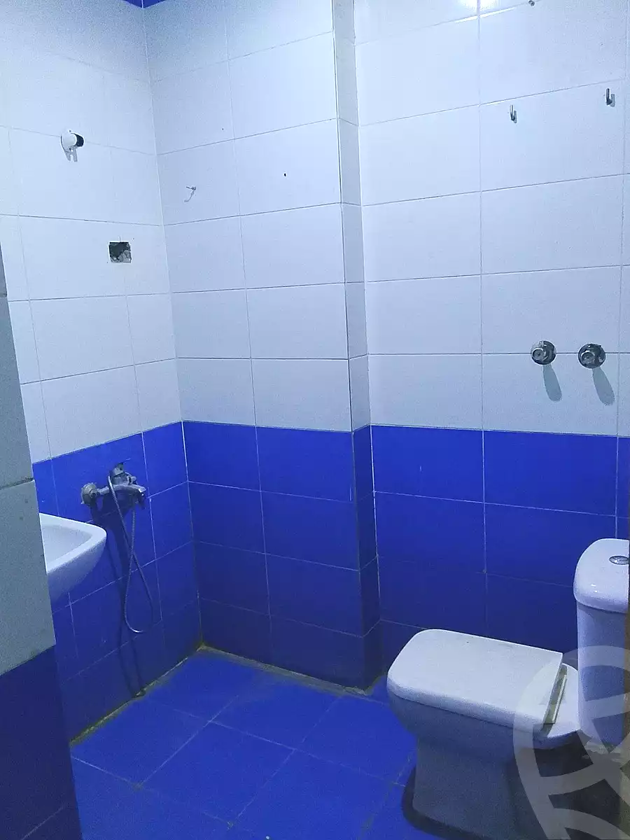 https://aqarmap.com.eg/en/listing/6688824-for-rent-cairo-faisal