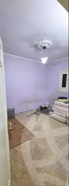 https://aqarmap.com.eg/en/listing/6689528-for-sale-qalyubia-el-khsos-izbat-el-nakhl