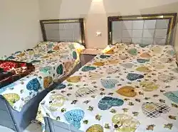 https://aqarmap.com.eg/en/listing/6692418-for-rent-cairo-ain-shams-jsr-lswys-gamal-abd-el-naser-st