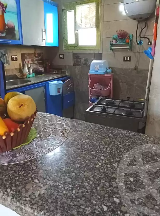 https://aqarmap.com.eg/ar/listing/6695894-for-sale-alexandria-l-jmy-lbytsh-ain-shams-st