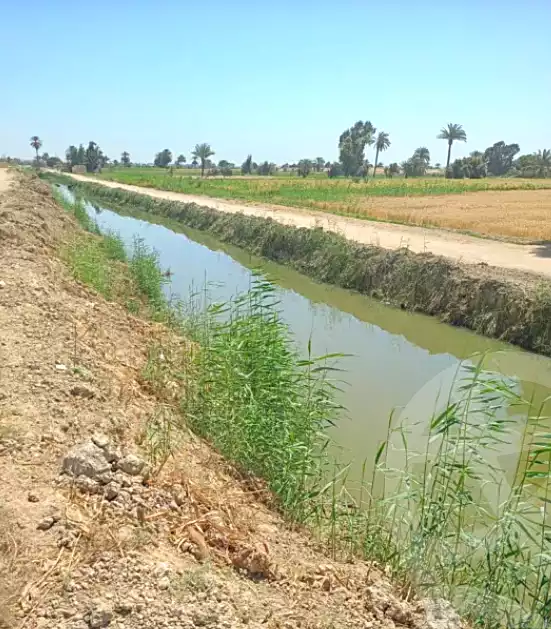 https://aqarmap.com.eg/ar/listing/6697470-for-sale-el-fayoum-tamiya-tamiyyah-city