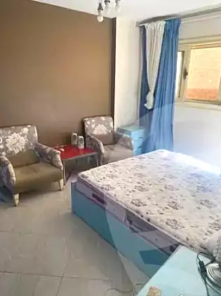 https://aqarmap.com.eg/en/listing/6700030-for-rent-cairo-ain-shams