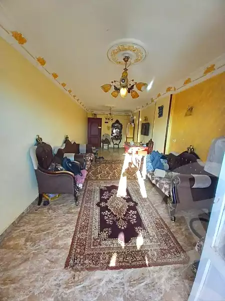 https://aqarmap.com.eg/ar/listing/6703851-for-sale-alexandria-l-jmy-lbytsh-el-hay-st