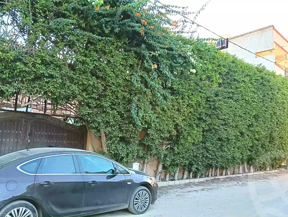 https://aqarmap.com.eg/en/listing/6706682-for-sale-alexandria-l-jmy-lbytsh-el-hanafeya-st