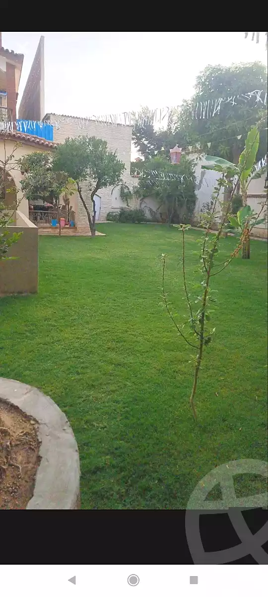 https://aqarmap.com.eg/en/listing/6707809-for-sale-alexandria-l-jmy-lbytsh-el-hanafeya-st