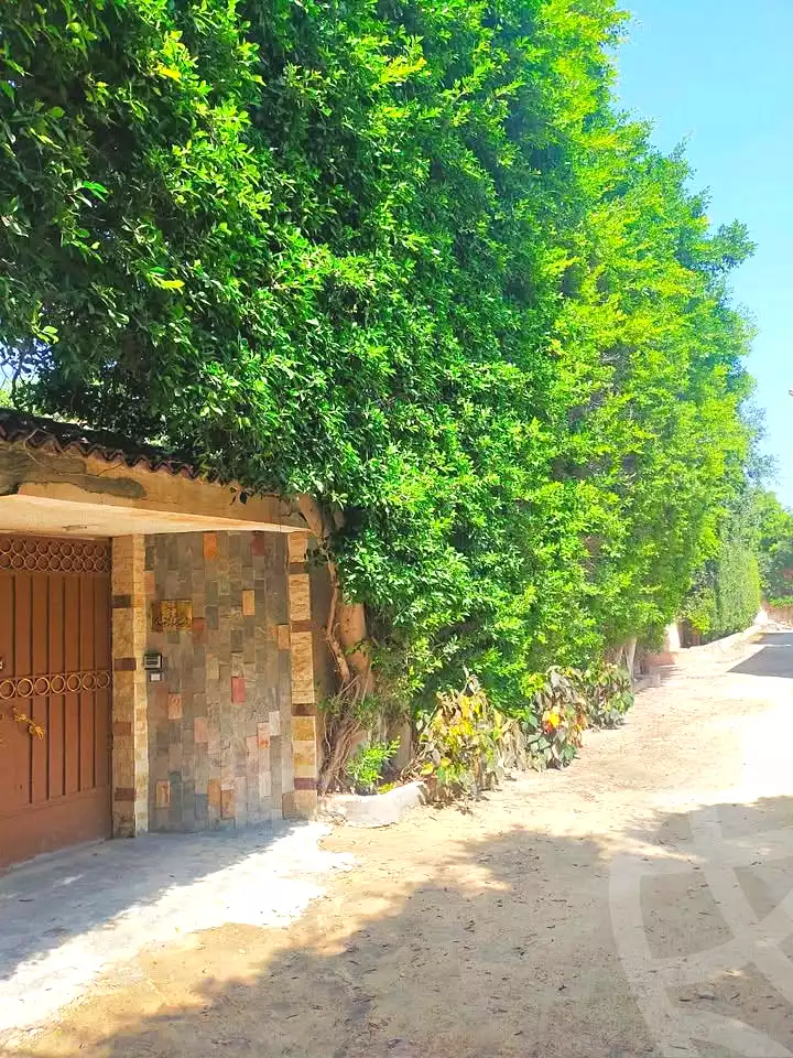 https://aqarmap.com.eg/ar/listing/6709554-for-sale-alexandria-l-jmy-lbytsh-el-hanafeya-st