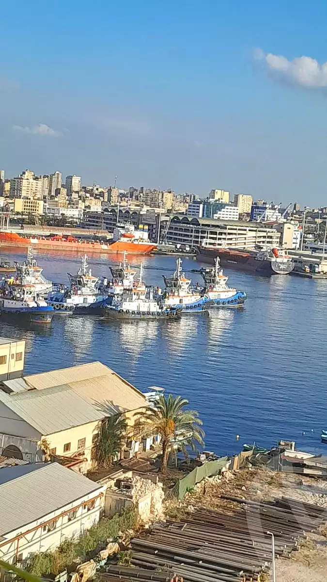 https://aqarmap.com.eg/en/listing/6709735-for-sale-alexandria-rs-ltyn