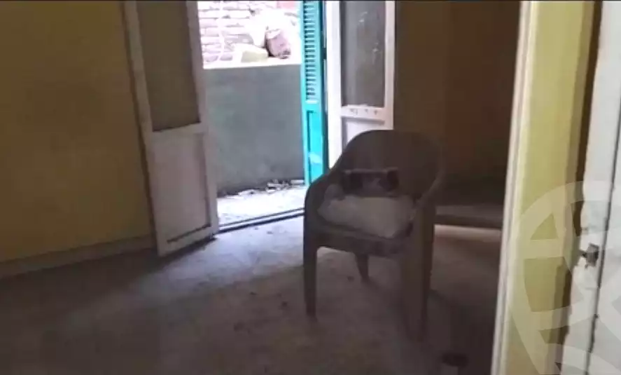 https://aqarmap.com.eg/en/listing/6709835-for-rent-cairo-shoubra-el-sahel-menyat-as-serg-st