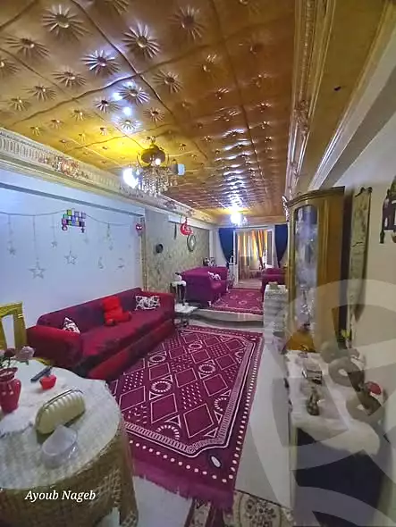 https://aqarmap.com.eg/ar/listing/6715368-for-sale-alexandria-l-jmy-lbytsh-qased-kareem-st