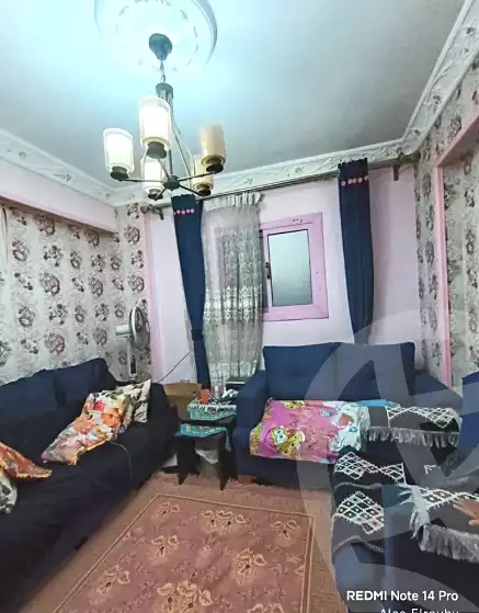 https://aqarmap.com.eg/ar/listing/6717233-for-sale-alexandria-l-jmy-lbytsh-qased-kareem-st