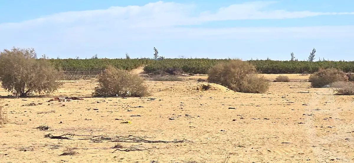 https://aqarmap.com.eg/en/listing/6706361-for-sale-beheira-wadi-el-natrun-bany-salama