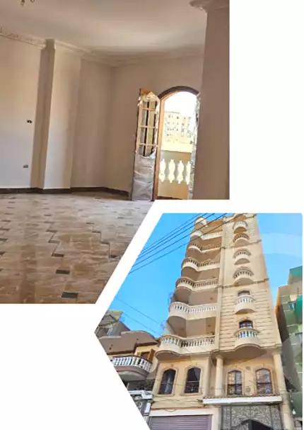 https://aqarmap.com.eg/ar/listing/6717857-for-rent-el-fayoum-fayoum-fayoum-city