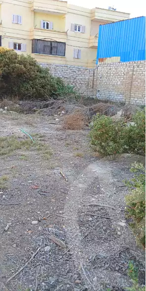 https://aqarmap.com.eg/ar/listing/6717884-for-sale-alexandria-king-maryot