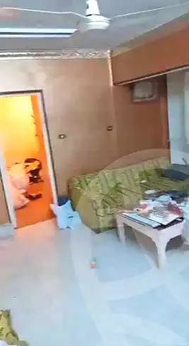 https://aqarmap.com.eg/en/listing/6718834-for-rent-cairo-shoubra-jzyr-bdrn