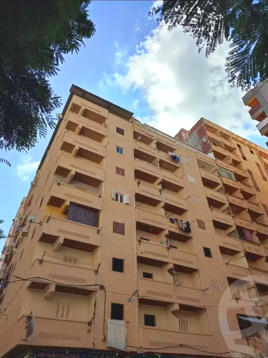 https://aqarmap.com.eg/en/listing/6720492-for-sale-alexandria-l-jmy-el-kilo-21