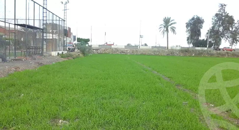 https://aqarmap.com.eg/en/listing/6725007-for-sale-sharqia-abu-hamad-abou-hammad-city