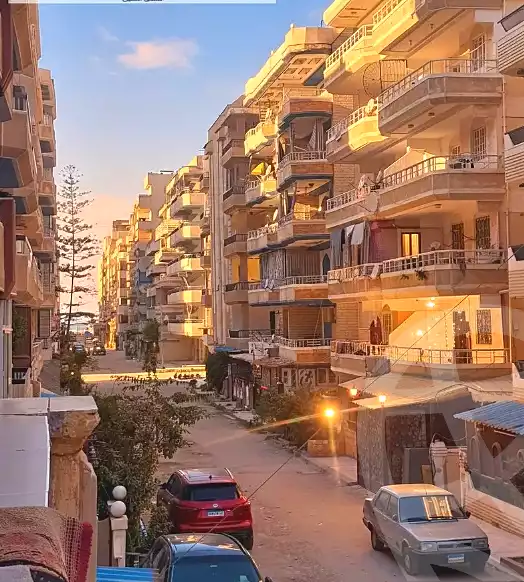 https://aqarmap.com.eg/en/listing/6727598-for-sale-alexandria-l-jmy-shataa-el-nakheel