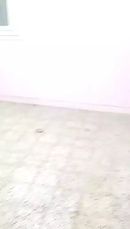 https://aqarmap.com.eg/ar/listing/6728413-for-rent-alexandria-l-jmy-lbytsh-ain-shams-st