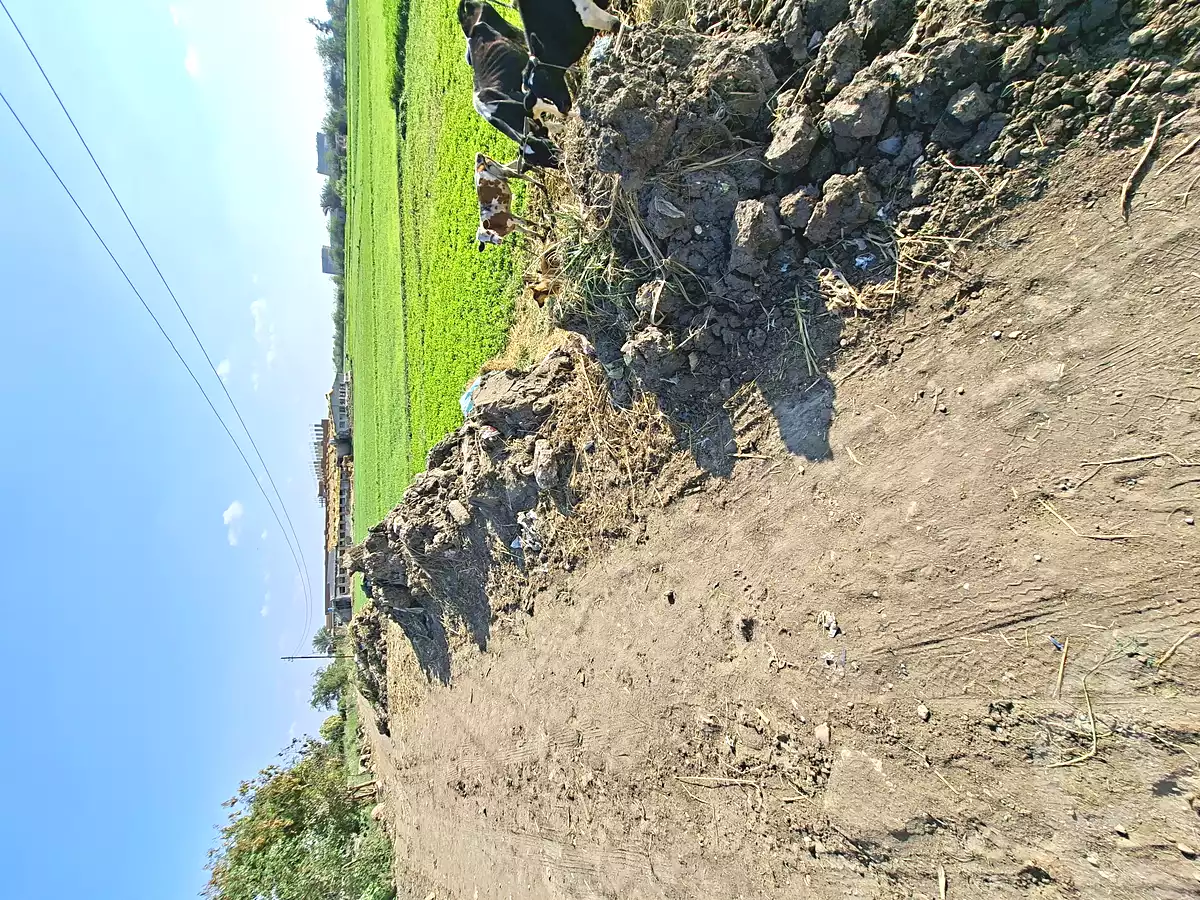 https://aqarmap.com.eg/ar/listing/6732978-for-sale-sharqia-faqous-faqous-city