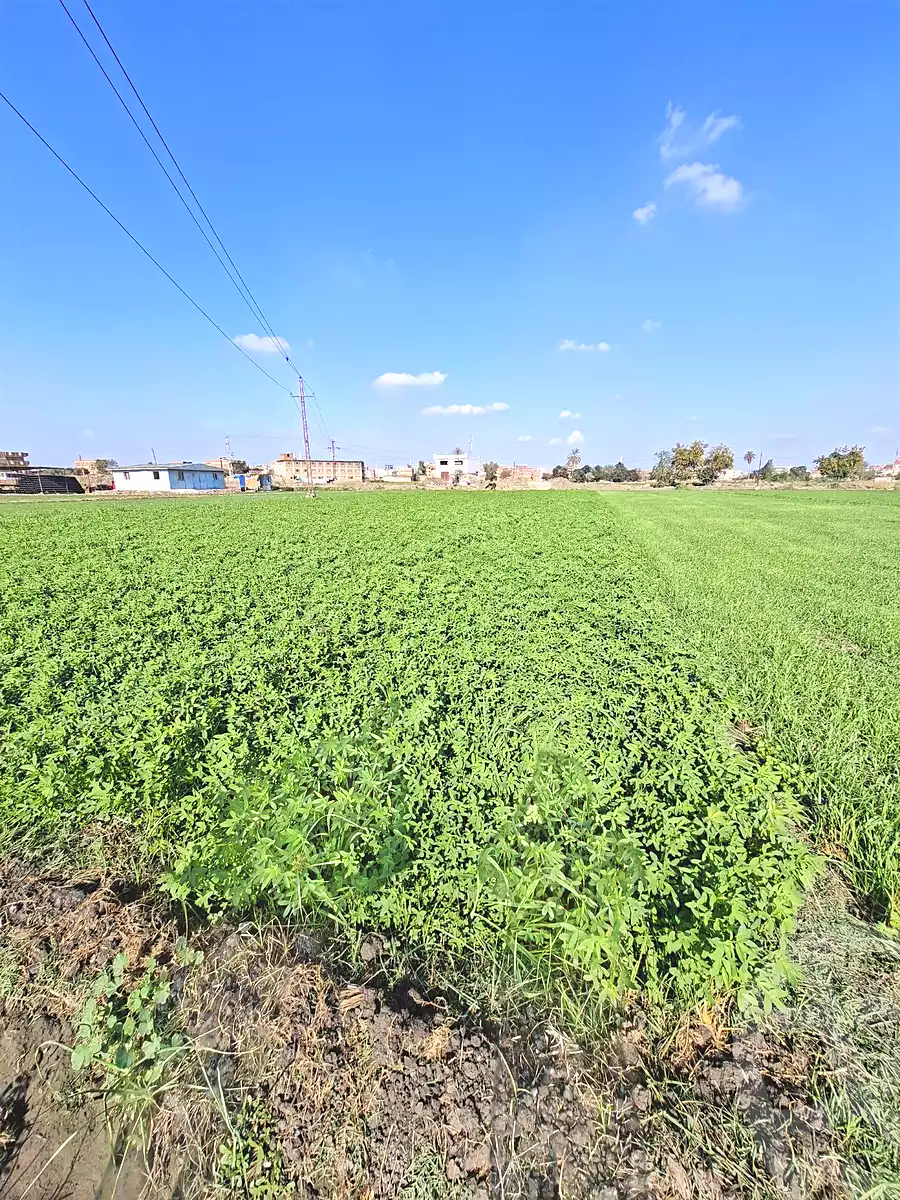 https://aqarmap.com.eg/ar/listing/6732978-for-sale-sharqia-faqous-faqous-city
