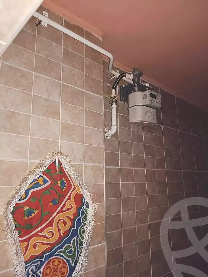 https://aqarmap.com.eg/en/listing/6733856-for-sale-alexandria-l-jmy-bw-ywsf