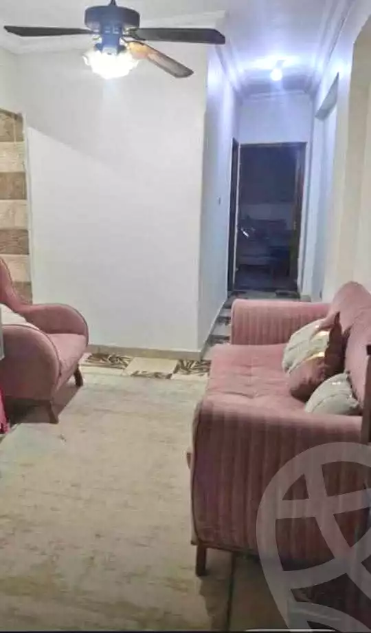 https://aqarmap.com.eg/ar/listing/6736804-for-sale-alexandria-miami-street-56