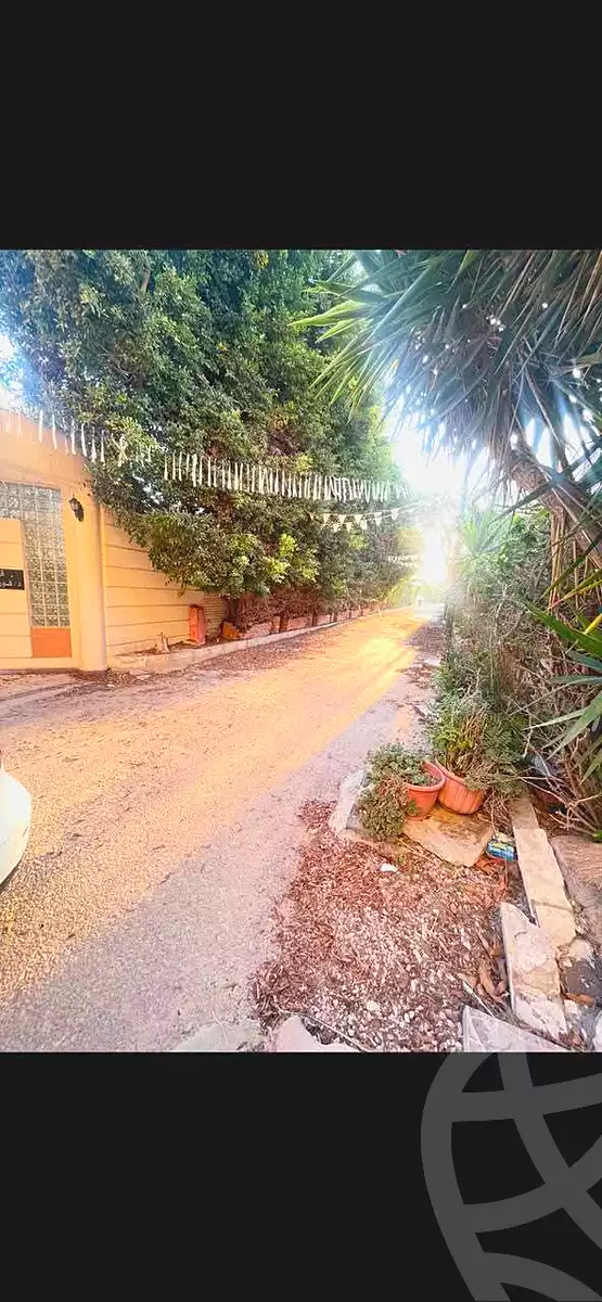 https://aqarmap.com.eg/en/listing/6738646-for-sale-alexandria-l-jmy-bw-ywsf