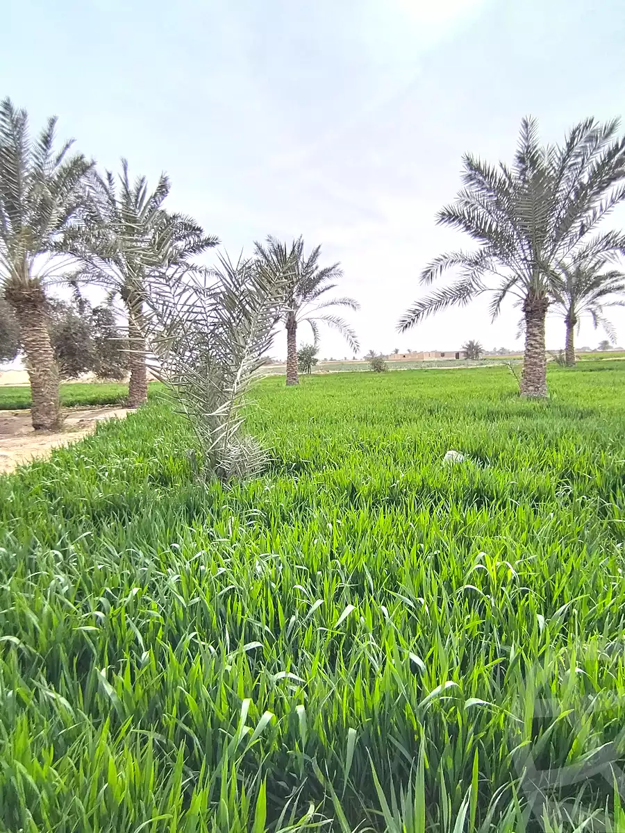 https://aqarmap.com.eg/en/listing/6738775-for-sale-cairo-el-haram-tareq-el-fayoum