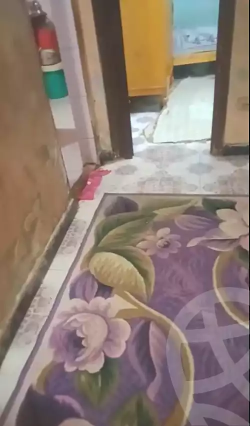 https://aqarmap.com.eg/ar/listing/6740033-for-sale-cairo-ain-shams-el-naam-al-sad-al-aali-st