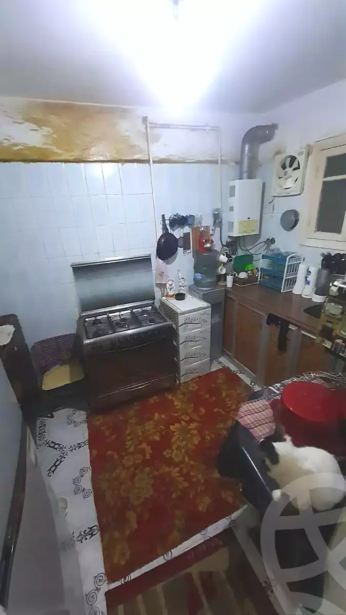 https://aqarmap.com.eg/ar/listing/6740058-for-sale-alexandria-l-jmy-lbytsh-ain-shams-st