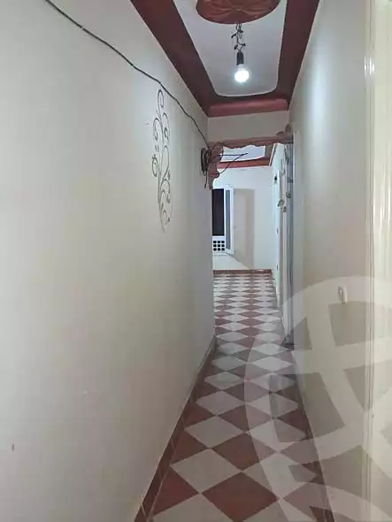 https://aqarmap.com.eg/en/listing/6740491-for-sale-alexandria-l-jmy-khair-allah-st