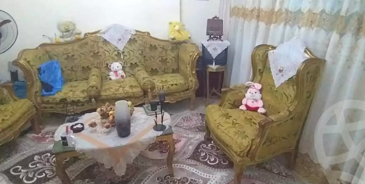 https://aqarmap.com.eg/en/listing/6741840-for-sale-alexandria-l-jmy-lbytsh-el-menshawy-st