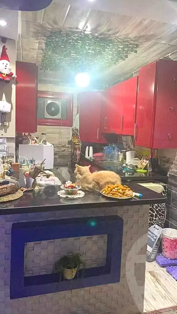 https://aqarmap.com.eg/en/listing/6746639-for-sale-alexandria-miami-khld-bn-lwlyd