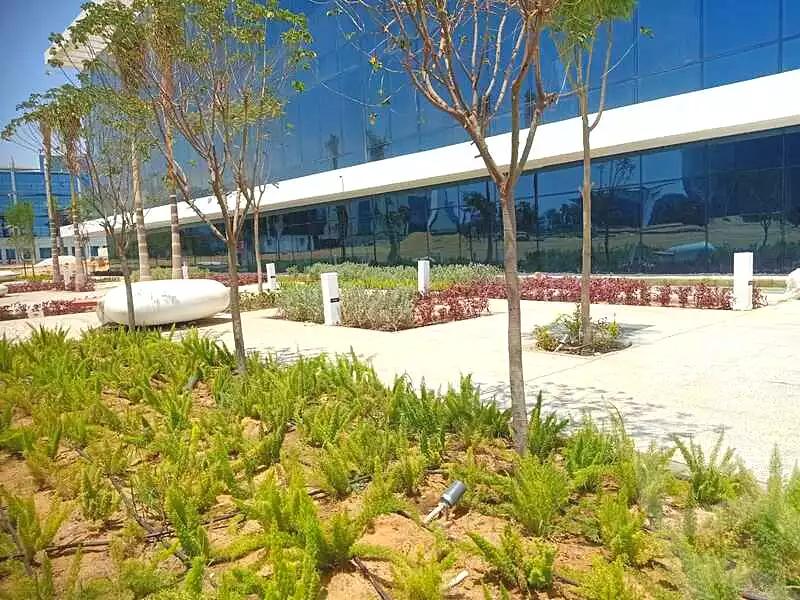https://aqarmap.com.eg/en/listing/6749592-for-rent-cairo-el-sheikh-zayed-city-alex-cairo-desert-road-smart-village-nwrth-syd-sfrykw-llstthmr-l-qry