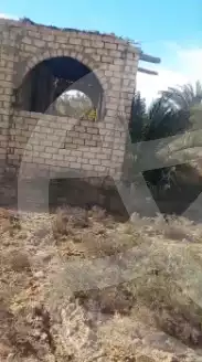 https://aqarmap.com.eg/en/listing/6752216-for-sale-beheira-wadi-el-natrun