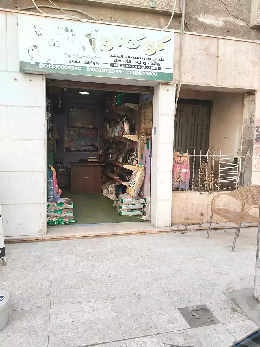 https://aqarmap.com.eg/ar/listing/6752463-for-sale-alexandria-lsywf-shamaa