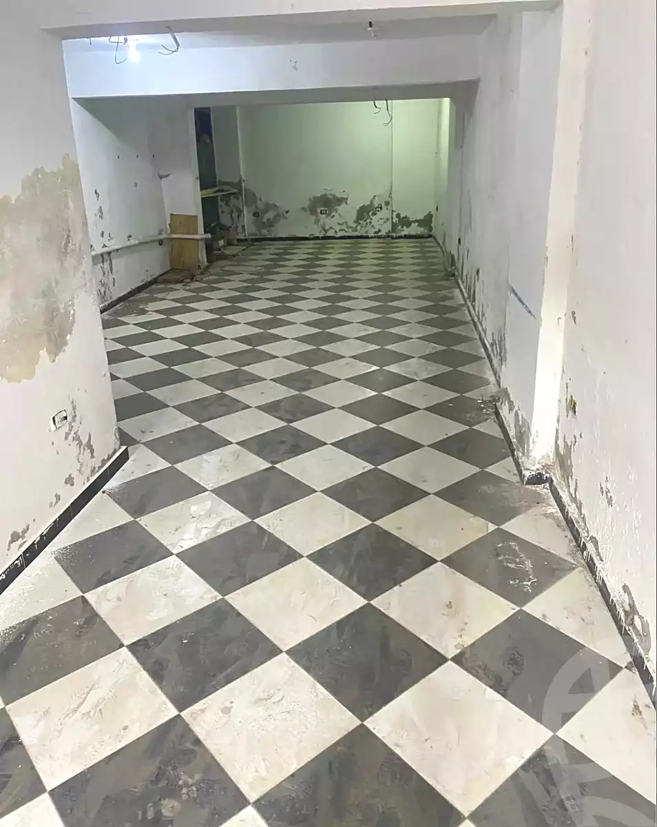 https://aqarmap.com.eg/en/listing/6754217-for-rent-alexandria-ganaklis