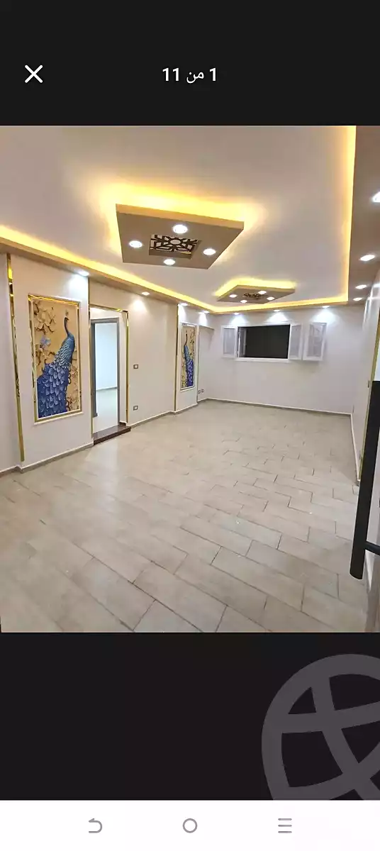 https://aqarmap.com.eg/en/listing/6756632-for-sale-alexandria-lsywf-el-falki
