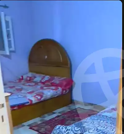 https://aqarmap.com.eg/en/listing/6758278-for-rent-alexandria-miami-iskandar-ibrahim-st