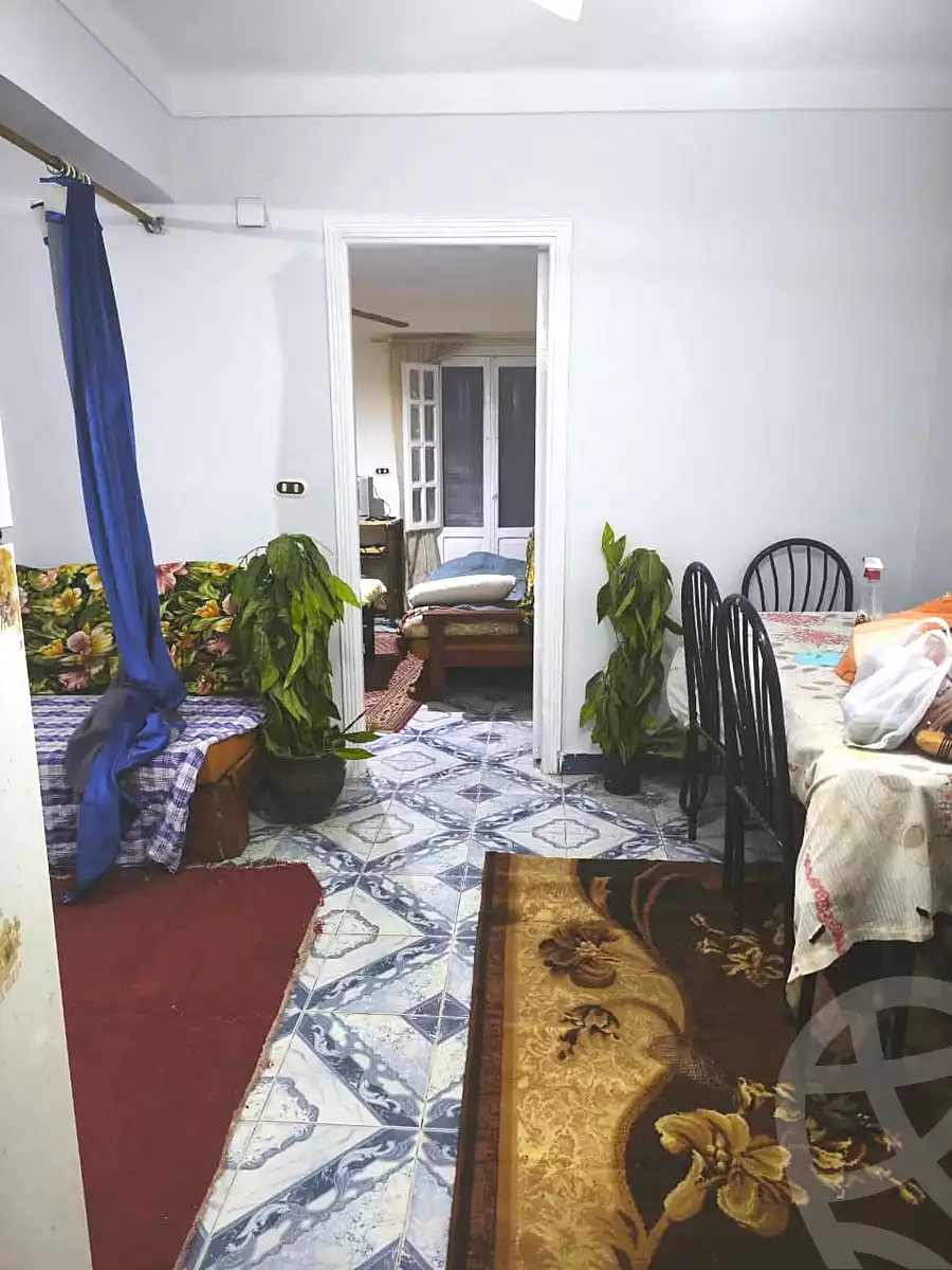 https://aqarmap.com.eg/ar/listing/6765272-for-rent-alexandria-el-mandara-nabawy-al-mohandes-st