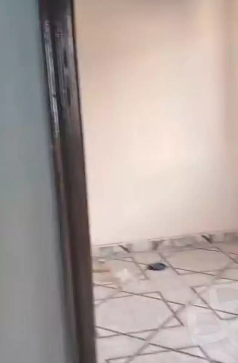 https://aqarmap.com.eg/en/listing/6768301-for-sale-cairo-ain-shams-ain-shams-el-sharkia-el-eshrein-stt